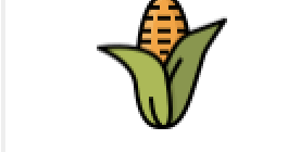 Organic Food